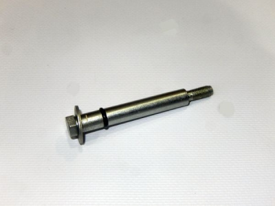 купить Болт специальный (клапанной крышки)