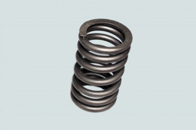 фото пружина клапана впуск. (4/6вт)  3926700 3900276 